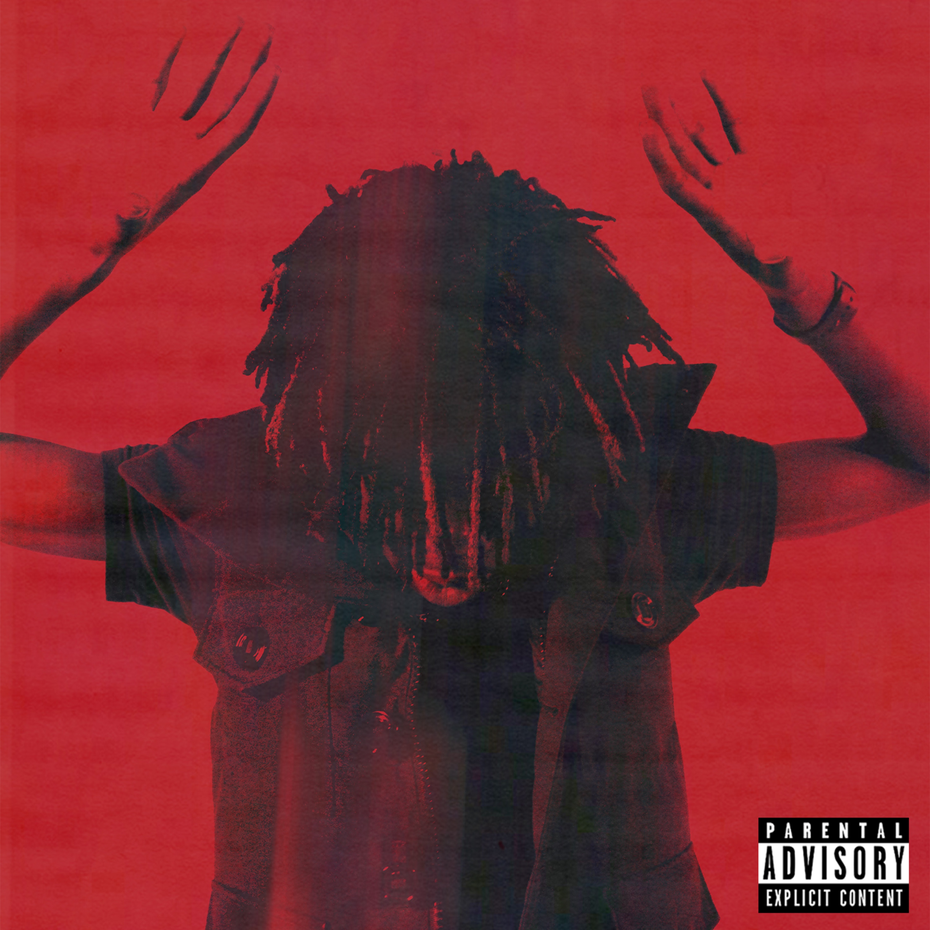 Disturbing The Peace by Pasto Flocco cover photographed by Yu.Lez