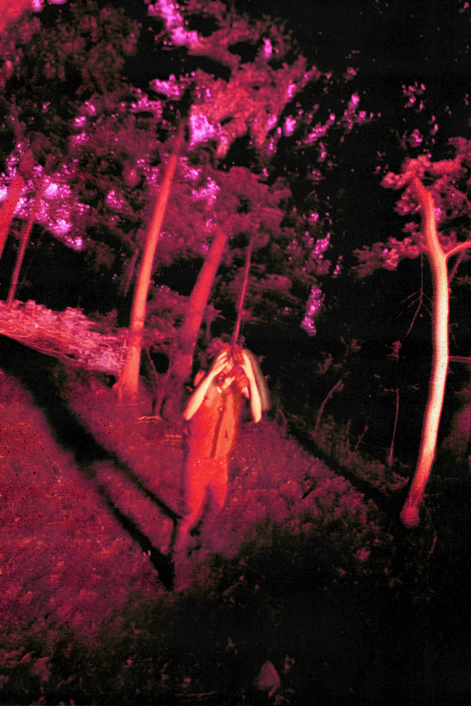 Pasto Flocco in the Disturbing The Peace woodland campaign